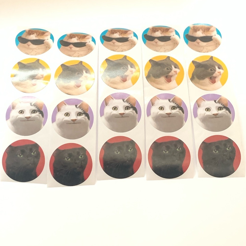 20 Piece Cat Meme Stickers- Multi Color Round Stickers